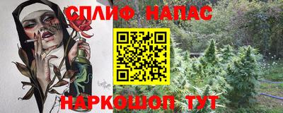 шишки Бийск