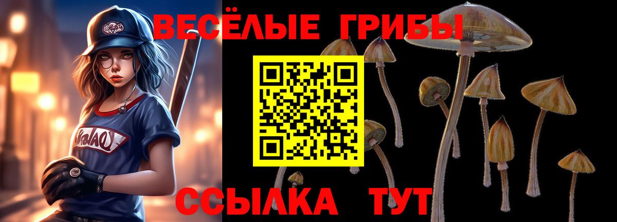 Галлюциногенные грибы Psilocybine cubensis Камышлов